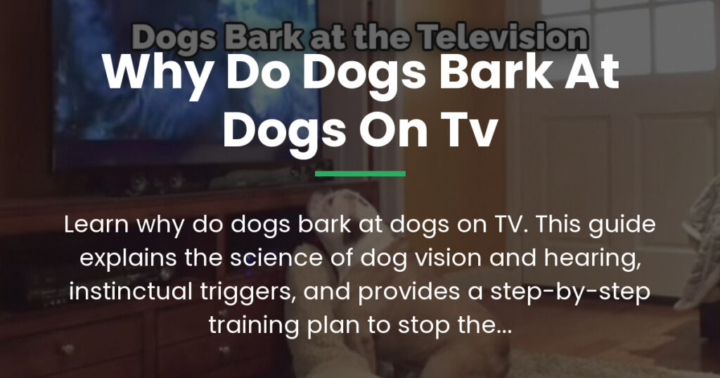 why do dogs bark at dogs on tv