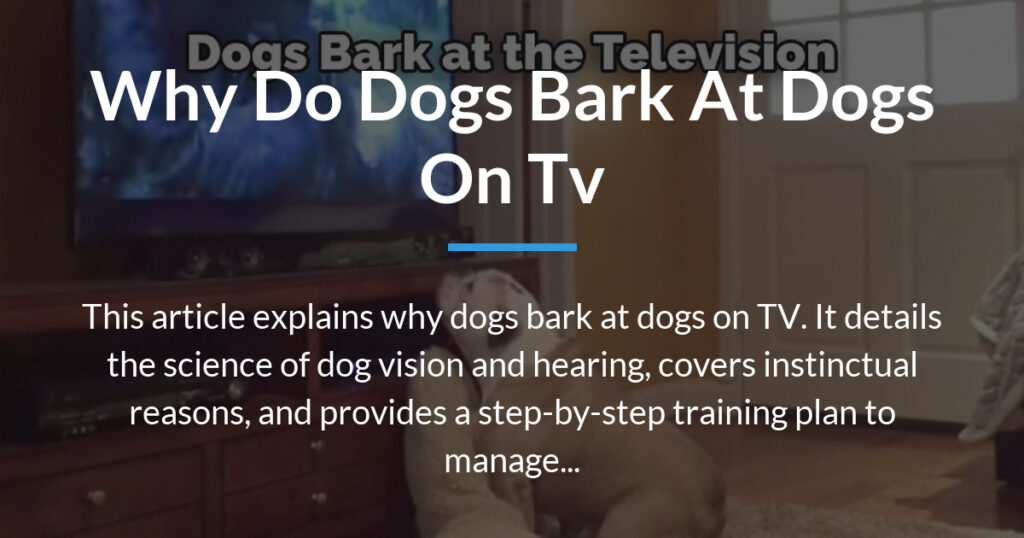 why do dogs bark at dogs on tv