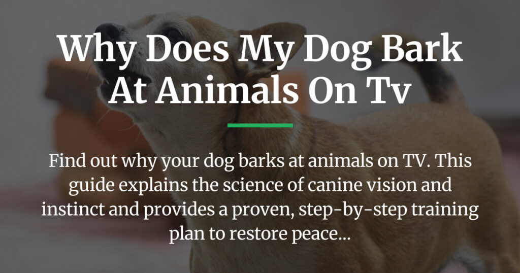 why does my dog bark at animals on tv